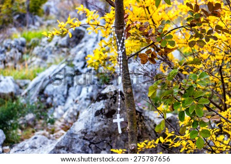 Prayer beads on a tree on the Krizevac (Cross) Mountain in Medjugorje in Bosnia ed Erzegovina: in the background brownish trees, green weeds, orange and yellow leaves and grey rocks