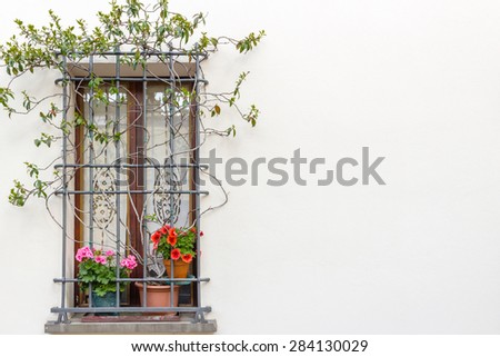 window with iron grating and flower pots: red and fuchsia geranium
