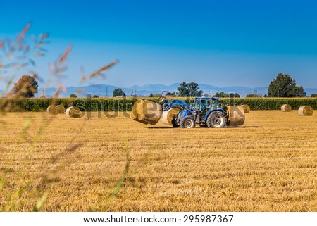 Modern agriculture - after the wheat harvest, the hay round bales are assembled by tractors with forks to be loaded on trucks