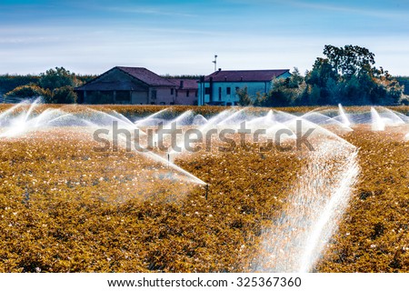 modern agriculture tecniques -  water irrigation of cultivated fields in the countryside in the north of Italy