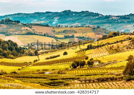 cultivated fields and rows of fruit trees in the hills of Emilia Romagna countryside