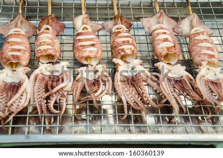 The row of grilled cuttlefish at the Chiang Rai market in Thailand.