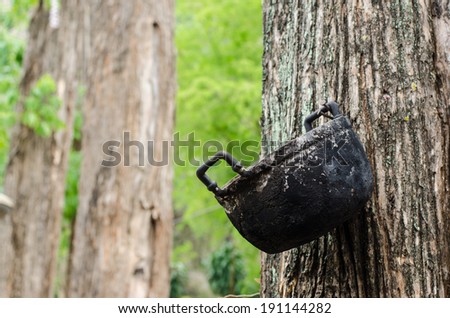 Old and black aluminum pot hung on big tree. ( I took this shot from hill tribe village, northern Thailand.)