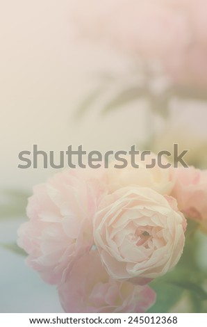 Sweet roses bouquet in pastel tone, soft style for background