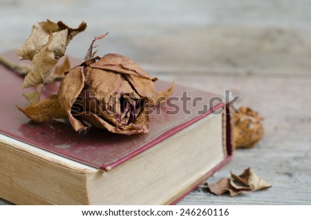 Vintage style of still life dry rose on red cover old book.