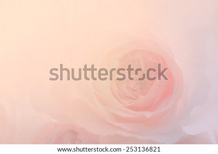 Sweet pink rose, Wedgwood rose, English rose with paper texture  for the background.