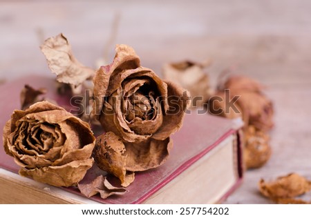 Dry roses on the old book with wood background, vintage style.