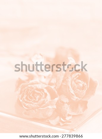 Vintage style of still life dry rose on red cover old book.