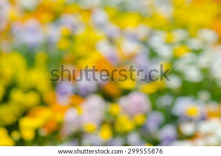 Blurred background of colorful flowers, abstract background.