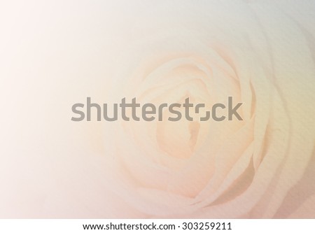 English rose in soft style with paper texture for the background.