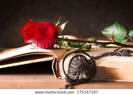 red rose on book in a black background