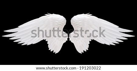 Dream like, realistic angel wings background with a white wing of