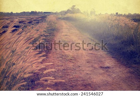 Landscape of vintage nature background, morning in the countryside Street (sepia color tone image)