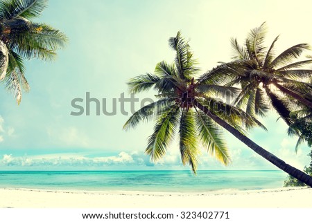 Landscape vintage nature background of coconut palm tree on tropical beach blue sky with sunlight of morning in summer, retro effect filter