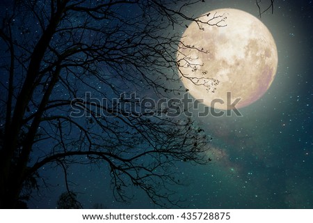 Milky Way star in night skies, full moon and old tree - Retro style artwork with vintage color tone (Elements of this moon image furnished by NASA)