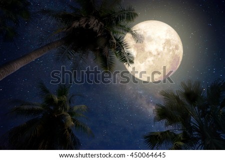 Beautiful fantasy of palm tree at tropical beach and full moon with milky way star in night skies background. Retro style artwork with vintage color tone