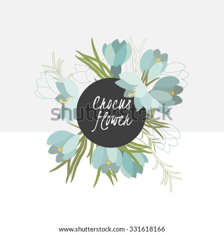 illustration crocus flower/Spring crocus flower/Greeting card crocus flower/Summer composition crocus flower/Spring crocus flower/Garden crocus flower/Beautiful crocus flower/Delicate crocus flower