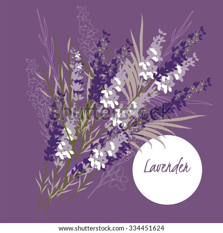 illustration lavender flower/Spring lavender flower/Greeting card lavender flower/Summer composition lavender flower/Spring lavender flower/Garden lavender/Beautiful lavender /Delicate lavender