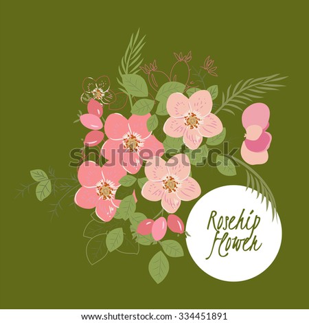 illustration rosehip flower/Spring rosehip flower/Greeting card rosehip flower/Summer composition rosehip flower/Spring rosehip flower/Beautiful rosehip flower/Delicate rosehip flower
