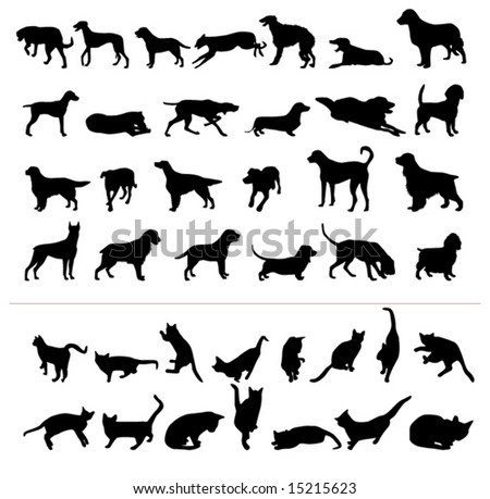 Pics Of Dogs And Cats. stock vector : Dogs and cats