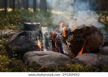 Campfire with big logs on the forest background