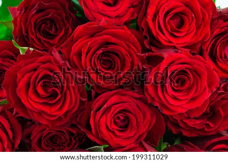 bouquet of bright red roses as a background