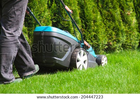 Green grass is mowed lawn mower in sunny day