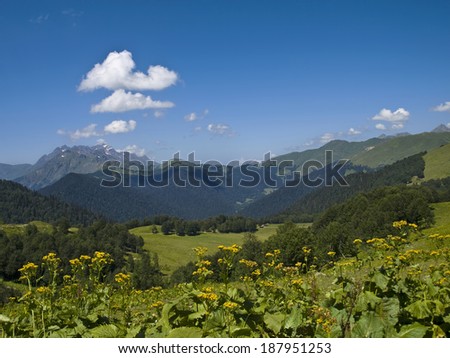 view of the Caucasus mountain valley with flowers in summer in Abkhaziya, Russia