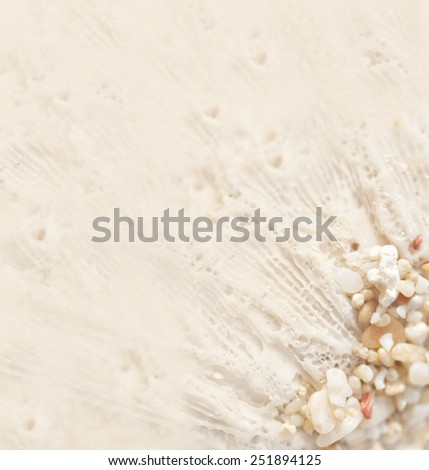coral and sand background with negative space