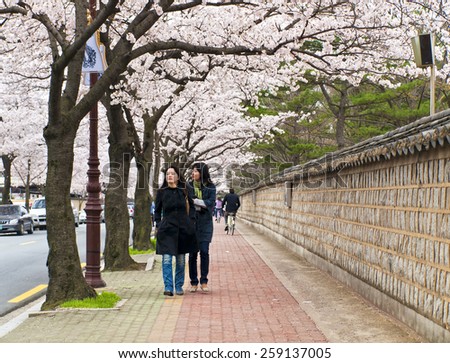 GYEONGJU, SOUTH KOREA -?? APRIL 11, 2014: Two young Korean women walking under blooming sakura trees in Gyeongju during annual Cherry Blossom Festival