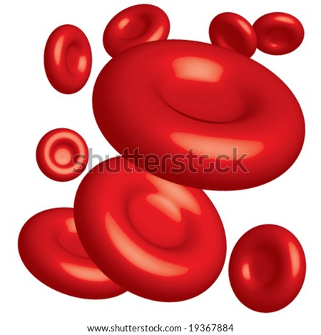 All Blood Cells