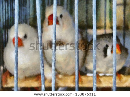 Three birds in a cage