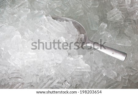 ice with scoop  in ice bucket