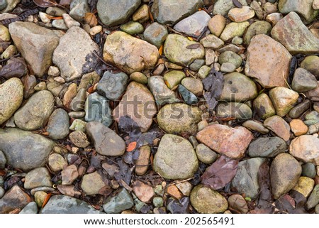 river stones with dry leaf on ground