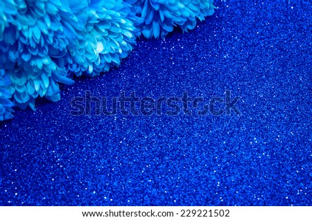 bright blue chrysanthemum flower image