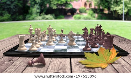 Chess in Park