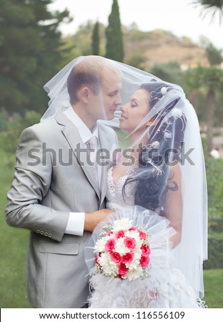 Newly wedded couple in the park. Just married in day of them wedding. Shot through a wedding veil