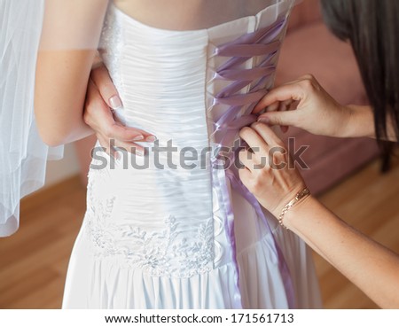 Bride dresses. Back view of bride in wedding dress