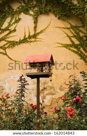 Birdhouse in a garden with roses and ivy on the background wall.