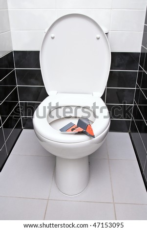 Paper sanitary plane is on the seat of toilet bowl