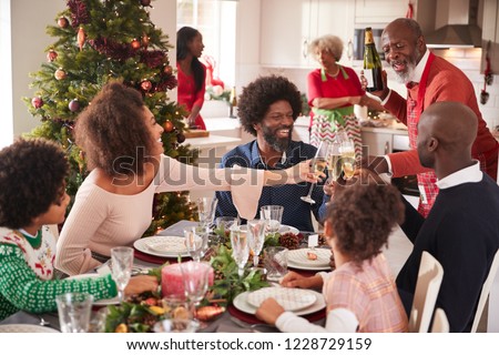 Family talking and raising glasses at the dinner table during a multi generation, mixed race family Christmas celebration