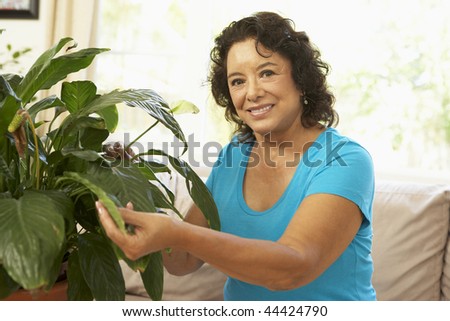 Senior Woman At Home Looking After Houseplant