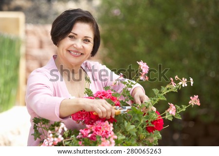 Senior Hispanic Woman Working In Garden Tidying Pots