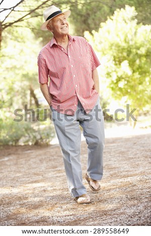 Senior Man Walking In Countryside