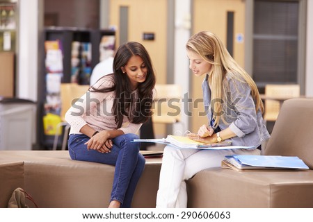 Female College Student Working With Mentor