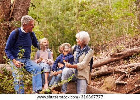 Grandparents and grandchildren eating together in a forest