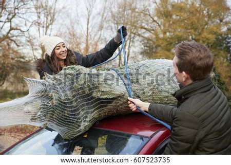 Young couple securing a Christmas tree to the roof of a car
