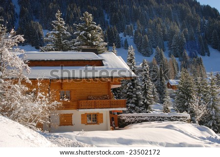 wooden cottage in the forest covered by snow, Switzerland