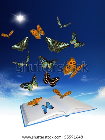 Flying Butterfly on Blue Sky - Stock Image - Everypixel