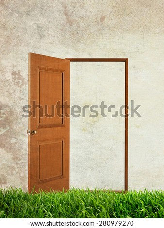 Open door on the green grass over grunge background
